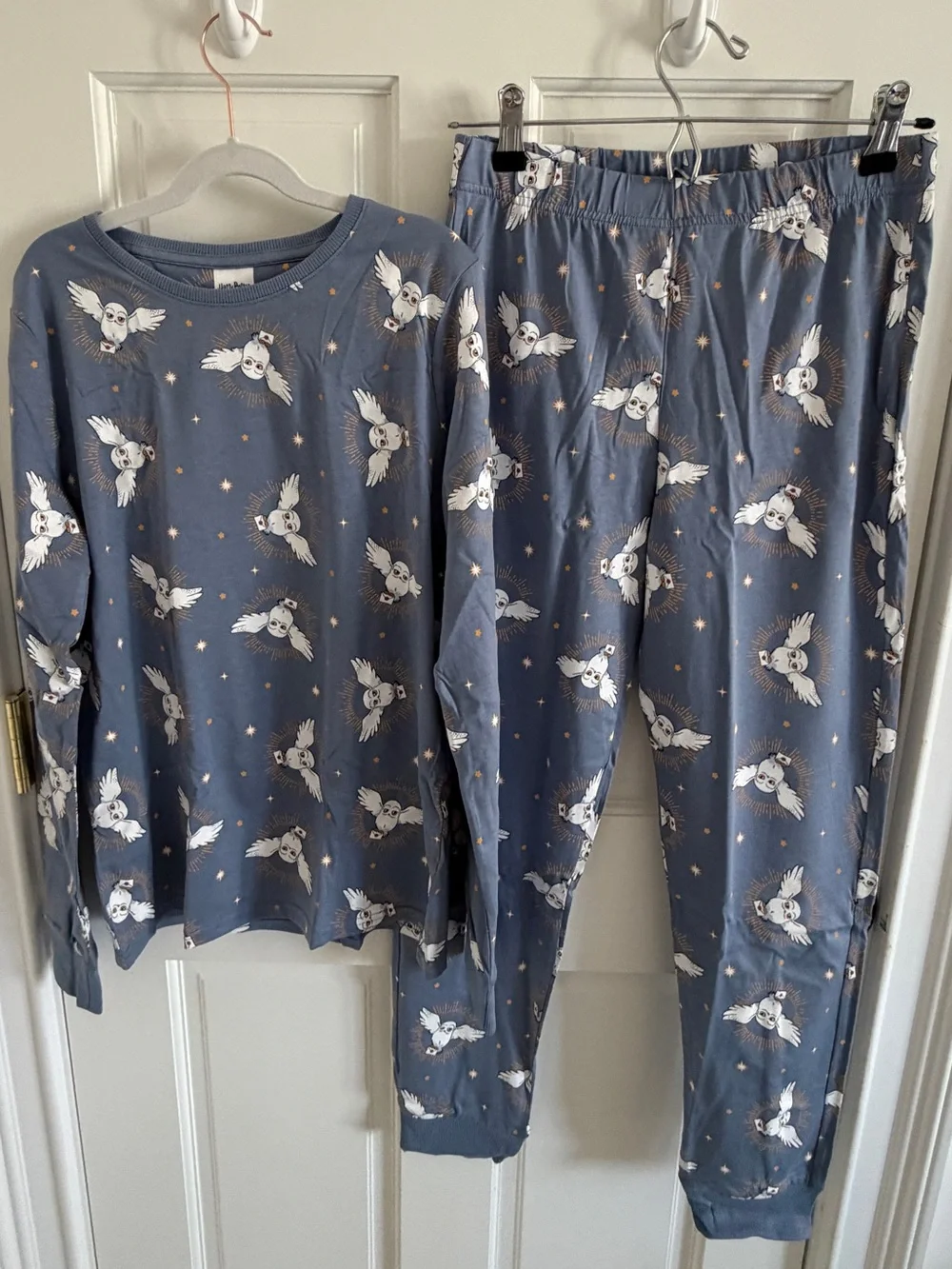 Harry Potter Hedwig Owl Pajama Set Kids 12-13 Blue PJs